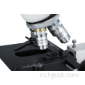 Новое прибытие биологическое микроскоп для научной лаборатории